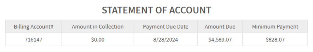 Statement of Account Summary